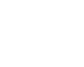 pinpcs